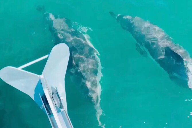 Private Beach Tour on a Luxury Sailing Boat in Lisbon - The Excursion’s Final Stop: Cascais Bay