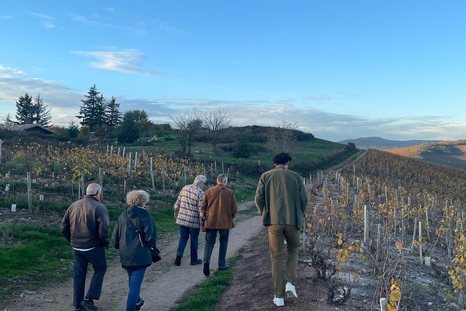 Private Beaujolais wine tour - Key Points
