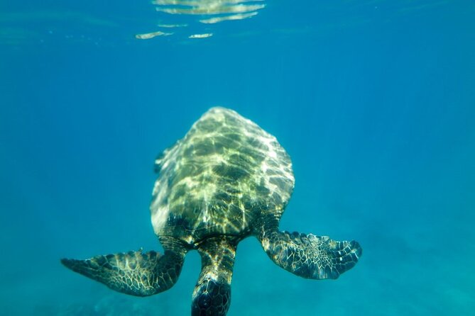 Private Beginner Paddleboard Lesson with Snorkel in Turtle Town - Discover the Waters of Mauis Turtle Town