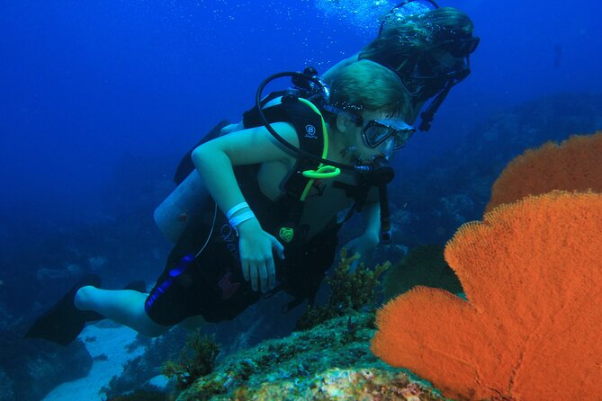 Private Beginner Scuba Diving Experience in Cabo San Lucas - Highly Praised Guides and Marine Encounters