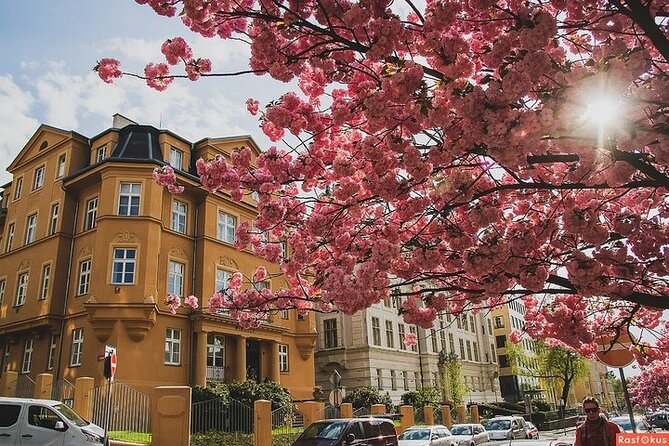 Private Berlin Coffee Tour with Friendly Local Guide - What’s Included in the Tour