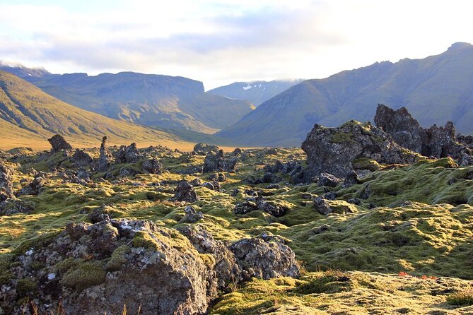 Private Bespoke Snaefellsnes Peninsula Tour - Discovering Rauðfeldsgjá Gorge and More Hidden Gems