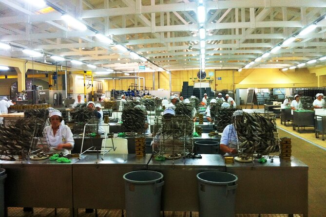 Private Best Fish Experience From Porto - The Experience Provider and Cancellation Policy