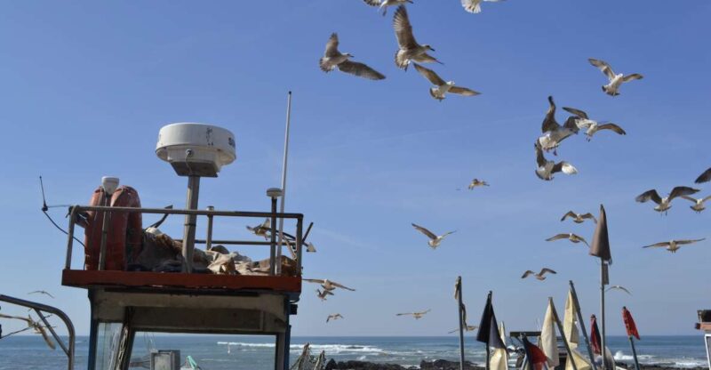 Private Best Fish Experience - Key Points