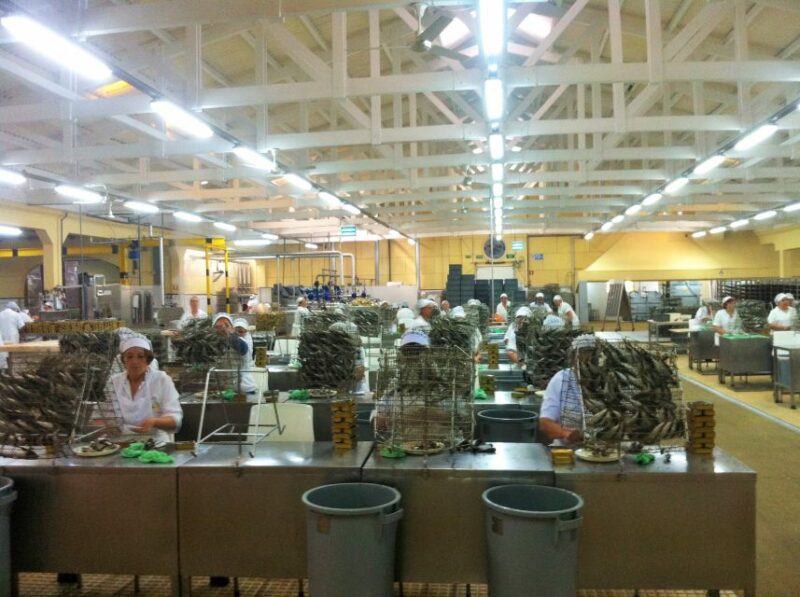 Private Best Fish Experience - Visiting a Nearly Century-Old Canning Factory in Matosinhos