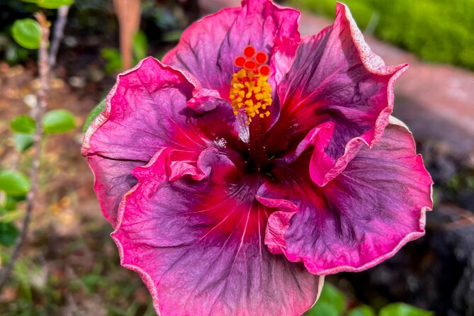 Private Big Island: History & Local Shopping Tour - Key Points