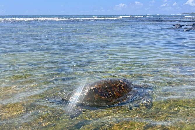 Private Big Island: History & Local Shopping Tour - Discovering King Kamehamehas Legacy at the King Kamehameha Statue