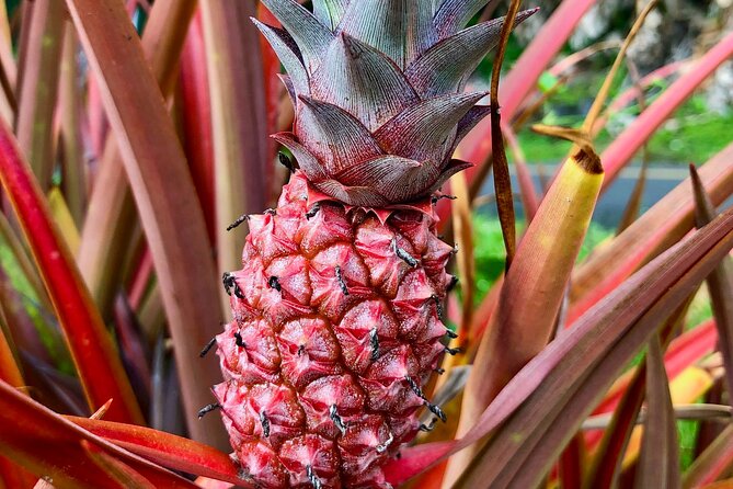 Private Big Island: History & Local Shopping Tour - Exploring Puukohola Heiau and Its Sacred Significance