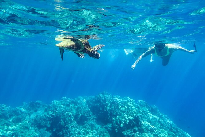 Private Big Island Snorkeling - Key Points