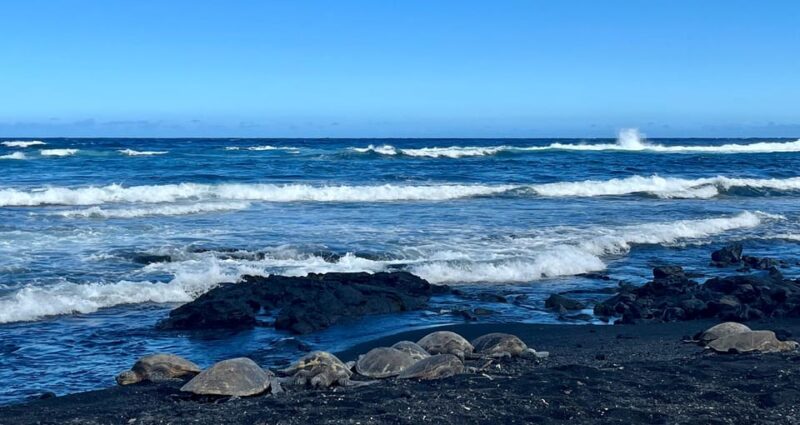 Private Big Island Tour:Coffee, Beaches,Volcanos & Waterfall - How the Tour Personalizes Your Big Island Experience