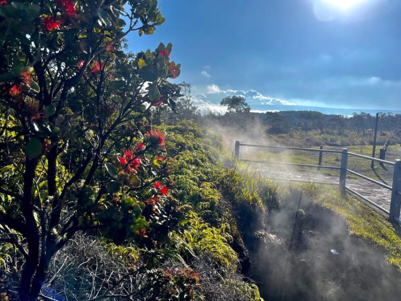 Private Big Island Tour:Coffee, Beaches,Volcanos & Waterfall - Unique Stops: From the South Point Lookout to Kulaniapio Falls