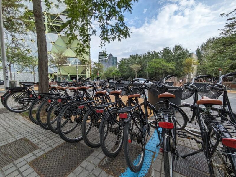Private bike tour starting from your hotel - Exploring Barcelona’s Architectural Gems: Sagrada Familia and Modernist Houses