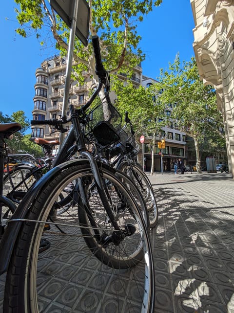 Private bike tour starting from your hotel - Versatile Bike Options and Safety Equipment