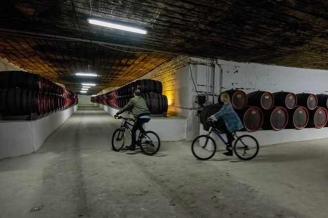 Private Bike Tour to Cricova Winery with wine tasting and lunch - An Engaging Day Out: Cycling and Wine at Cricova Winery