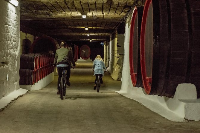 Private Bike Tour to Cricova Winery with wine tasting and lunch - Return to Chiinu with a Comfortable Transfer