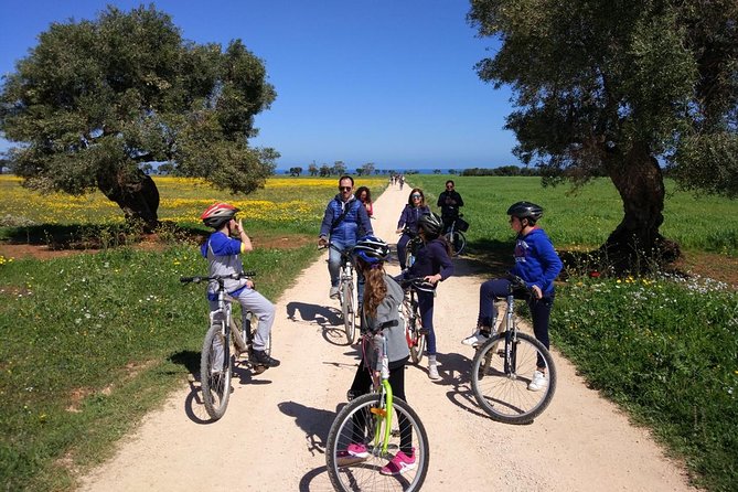 Private Bike Tour with Olive Oil Tasting - Architectural Diversity Among the Masserias