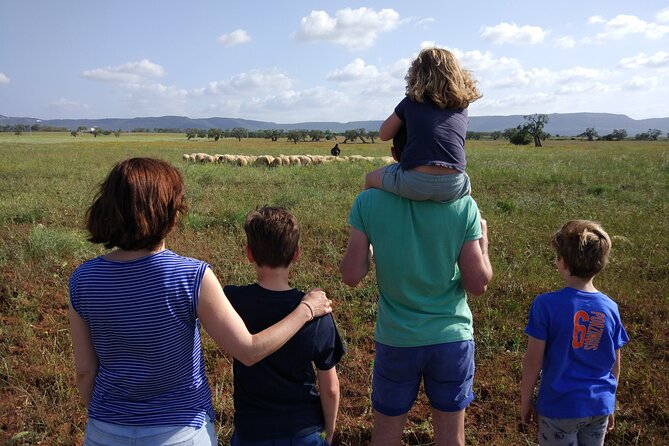 Private Bike Tour with Olive Oil Tasting - The Experience from the Guide and Reviews