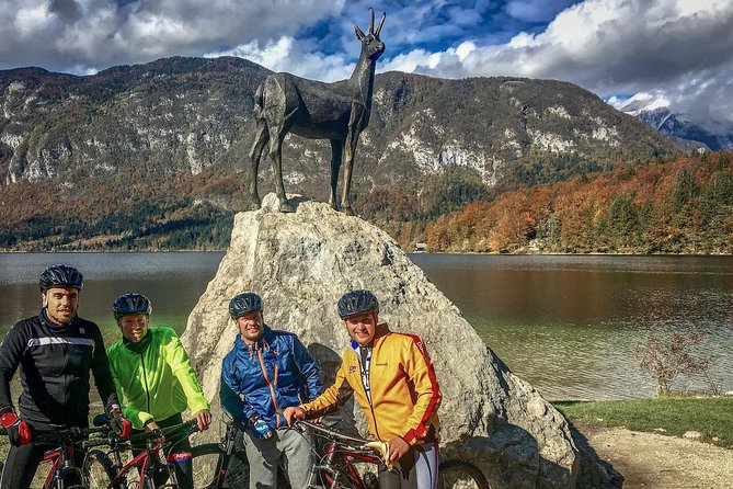 Private Biking Tour in Bohinj Valley - Logistics and Group Size for a Personal Experience
