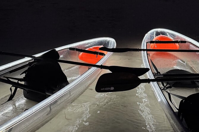 Private Bioluminescence Tour by clear Kayak in Holbox - What Makes the Bioluminescence in Holbox Special?