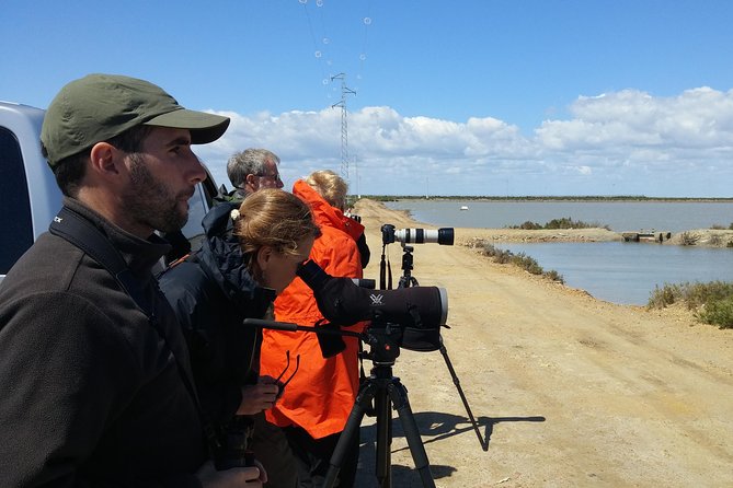 Private Birding & Photography Day Trip to Doñana - Visiting the Top Bird-Watching Sites in Doñana