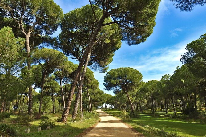 Private Birding & Photography Day Trip to Doñana - Cost and Booking Considerations