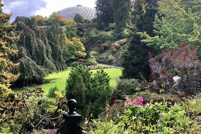 Private BMW Tour through Vancouver - Drive Through the Vibrant Granville Island District