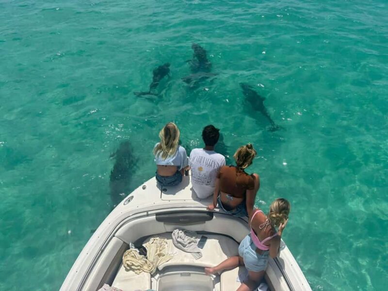 Private boat Charter Key West | Sandbar, Dolphin, Snorkeling - What Sets This Tour Apart from Others in Key West