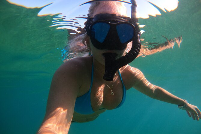 Private Boat Cruise of Waikiki! Snorkel, Sightseeing, Sea Life! - Key Points