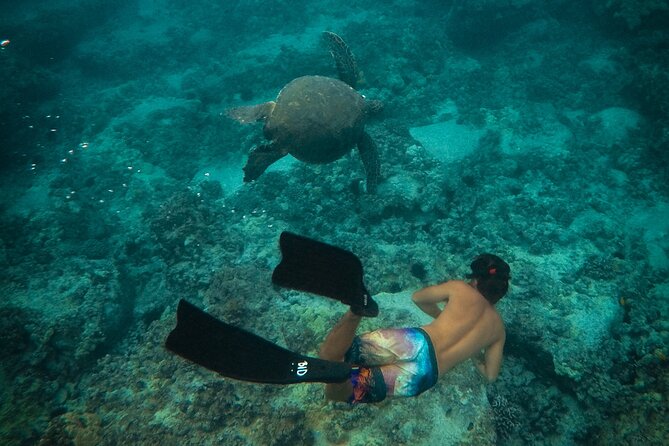 Private Boat Cruise of Waikiki! Snorkel, Sightseeing, Sea Life! - Exploring Waikiki’s Waters from a Private Power Catamaran