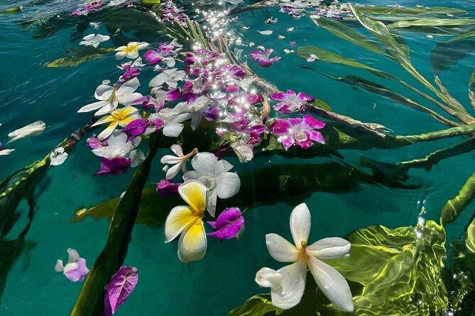 Private Boat Cruise of Waikiki! Snorkel, Sightseeing, Sea Life! - Safety and Comfort Onboard the Private Vessel