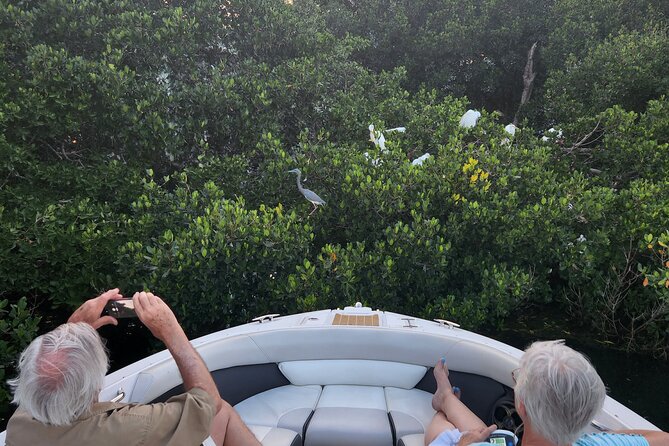 Private Boat: Island Cruise and Dolphins - Snorkeling and Tubing Options