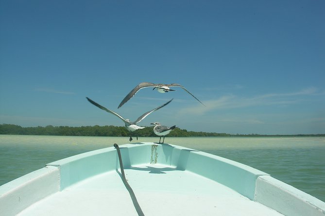 Private Boat to visit Holbox surroundings (3-Island Tour) - Flexible Itinerary and Customization Options