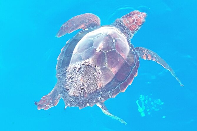 Private boat tour - Start Point and Duration of the Private Boat Tour