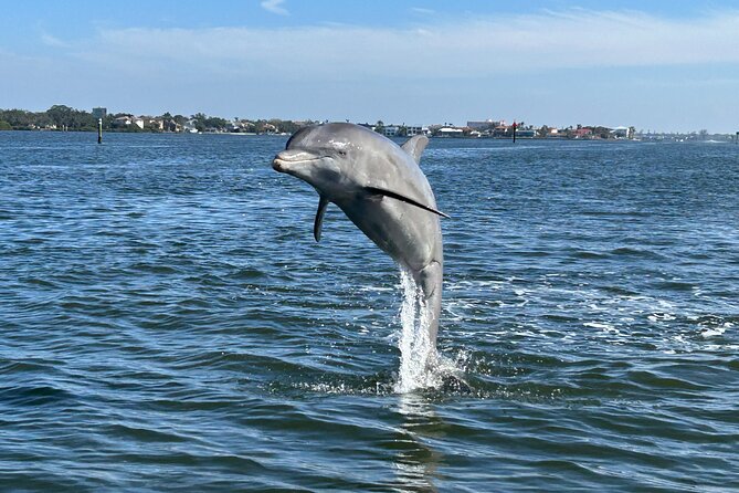 Private Boat Tour - An Exclusive 2-Hour Private Boat Tour in Florida for Up to 6 People