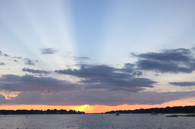 Private Boat Tour - What Makes the Dolphin and Manatee Sightings Special?