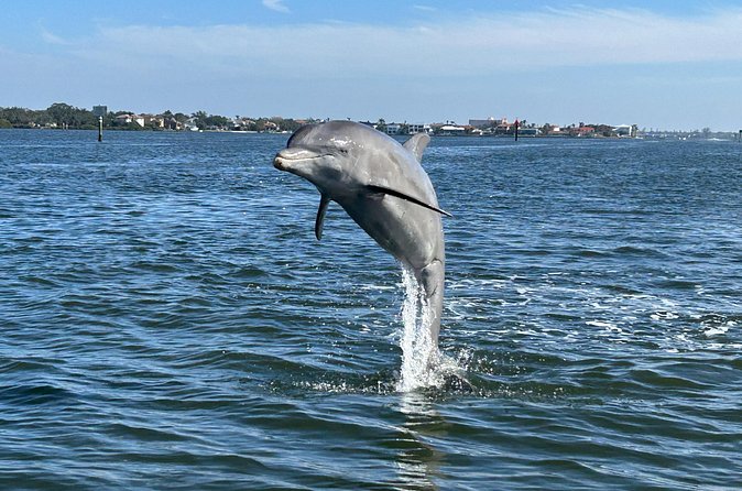 Private Boat Tour - What to Avoid Bringing on the Tour