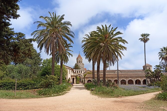 Private Boat Tour Cannes Lerins Islands - Practical Tips and Considerations