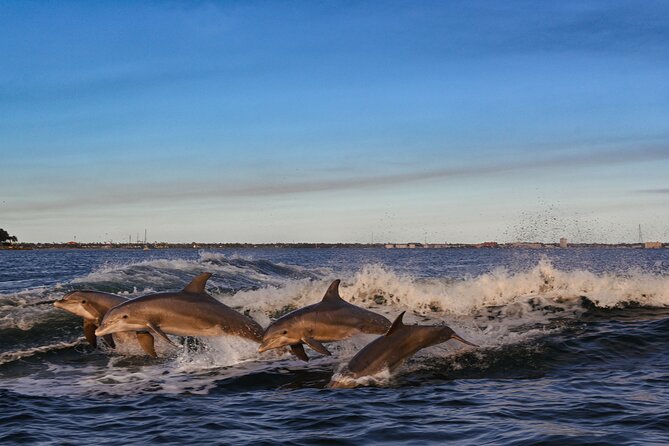 Private Boat Tour Dolphins Sunsets Shell Island and Snorkeling - Customizable Activities: Dolphins, Shell Island, and Snorkeling