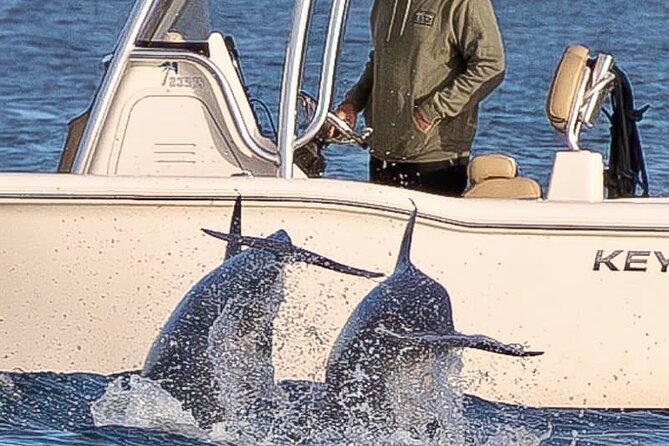 Private Boat Tour Dolphins Sunsets Shell Island and Snorkeling - Sunset Cruises and Extended Water Fun