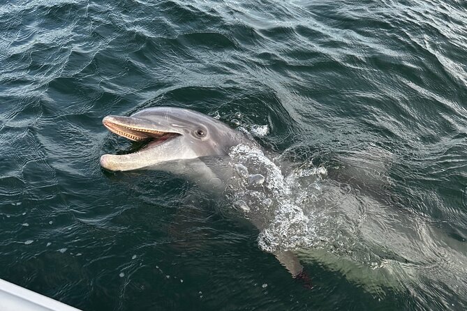 Private Boat Tour Dolphins Sunsets Shell Island and Snorkeling - Accessibility and Group Size Considerations