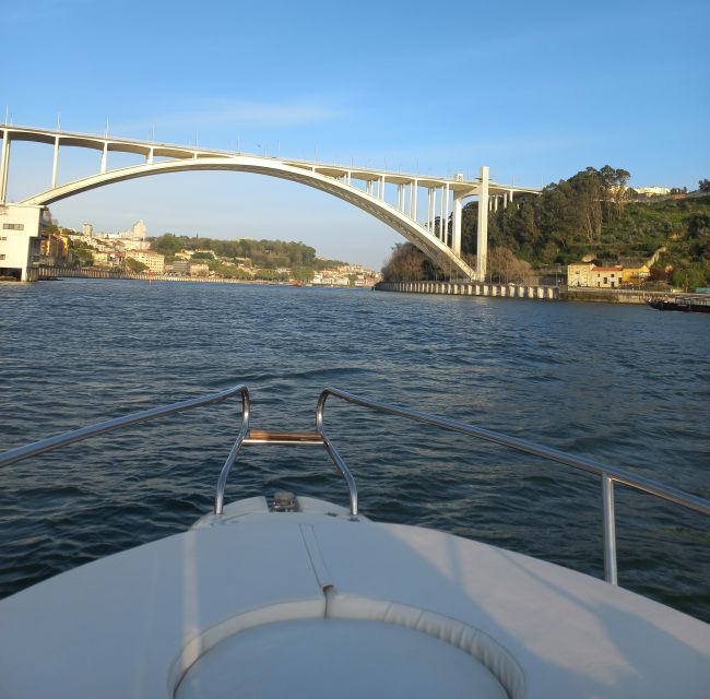 Private Boat Tour in Porto with Portuguese Tapas Option - The Food and Drink Experience