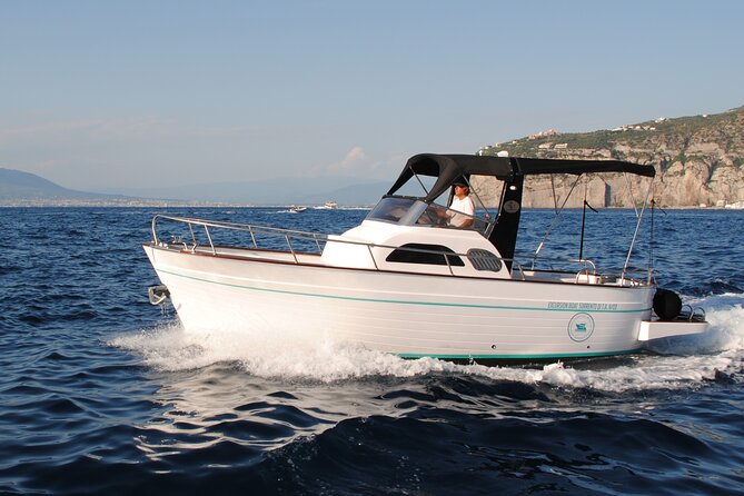 Private Boat Tour of Capri from Sorrento - Key Points