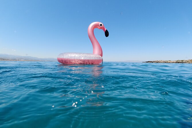 Private Boat Tour of Crete Coastlines - The Ease of Logistics and Meeting Arrangements