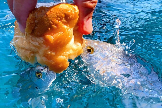 Private Boat Tour Portofino, Golfo Paradiso and Tigullio - Stopping at the Beautiful Village of Bogliasco