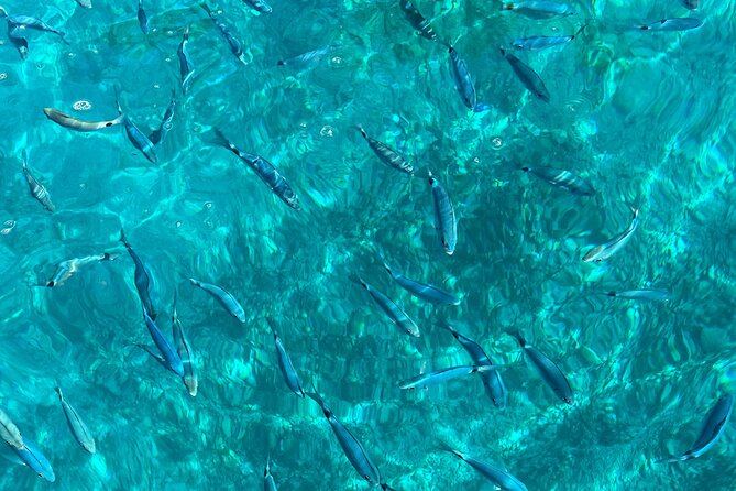 Private boat tour skippered by a local expert - fully customizable - The Cost Breakdown and Extra Fees