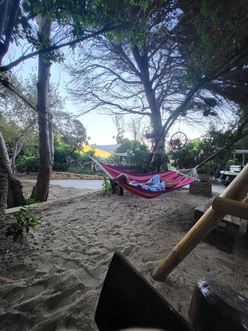 Private Boat Tour Tailor-Made 6h-All Inclusive - Key Points