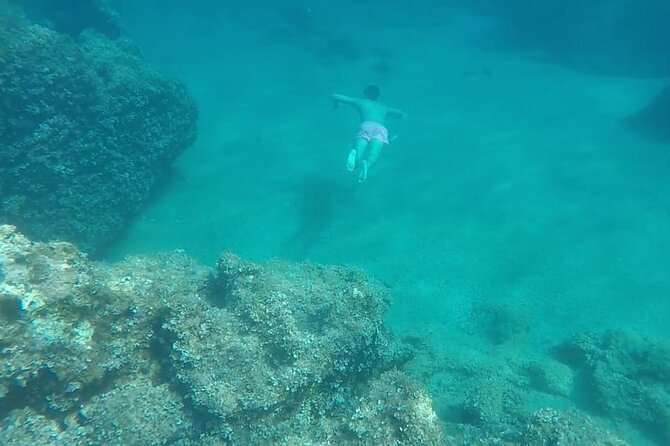 Private boat tour to Blue cave and Elaphiti islands with drinks - Sunj Beach on Lopud Island