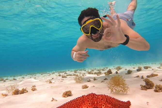 Private Boat Tour to Heaven - Snorkeling in Colombia and Palancar Reefs