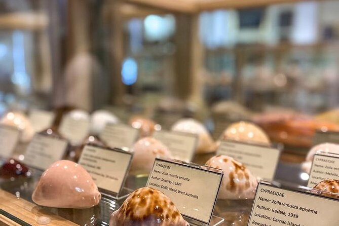 Private Boat Tour to Island Lokrum St Jackob Beach Betina Cave - What Sets This Tour Apart from Others