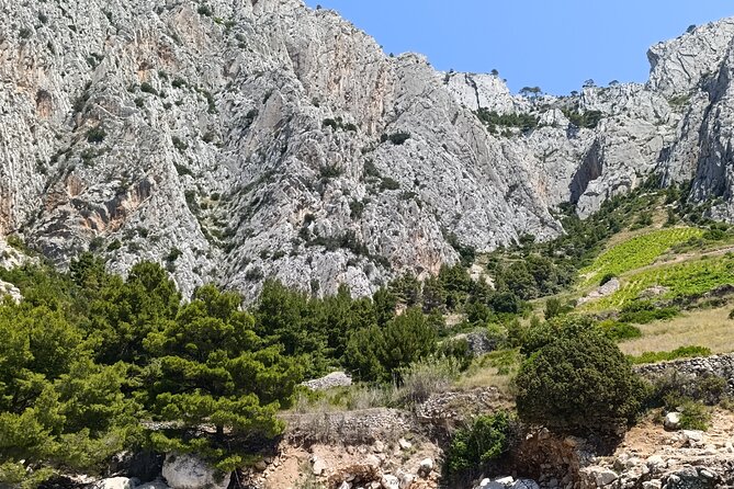 Private Boat Tour To Pakleni Islands and Red Rocks - Swim and Sun at the Red Rocks and Lucisce Beach